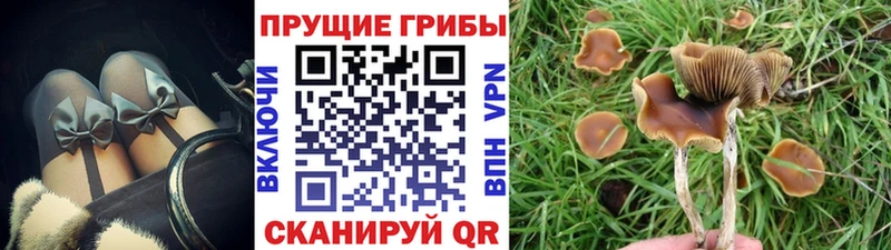 Галлюциногенные грибы MAGIC MUSHROOMS  Прокопьевск 